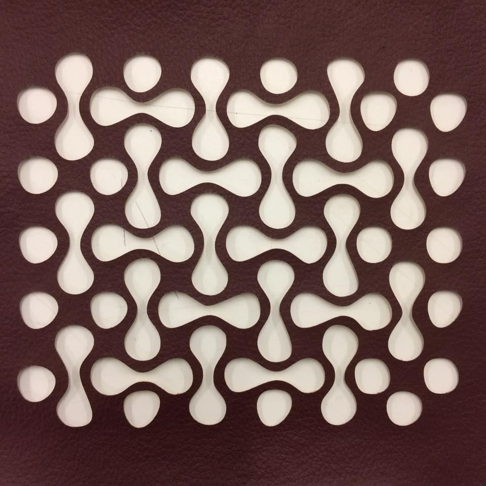 14199240_1810459972567069_9165323830506833958_n.jp